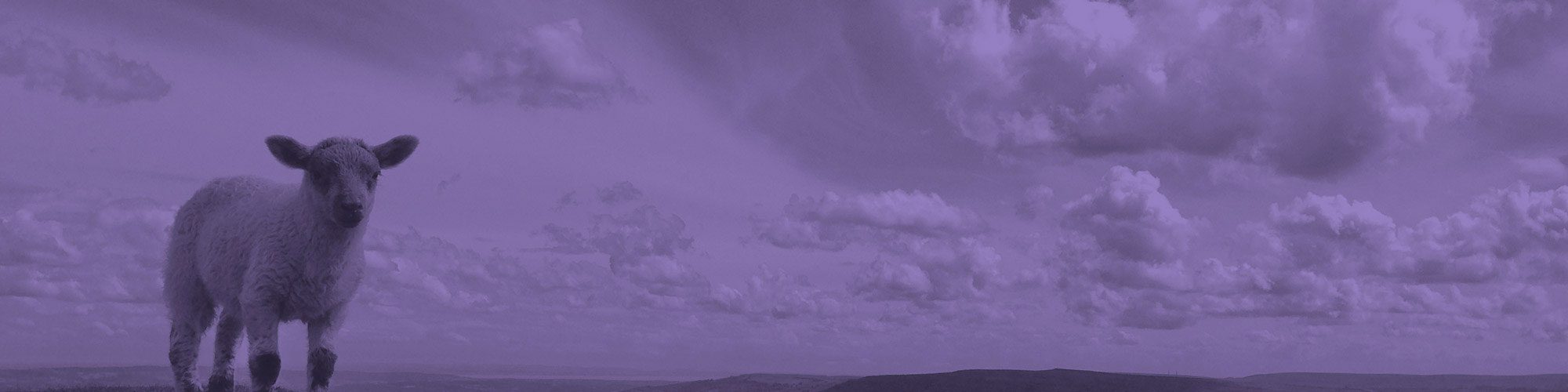 Company and Commercial banner